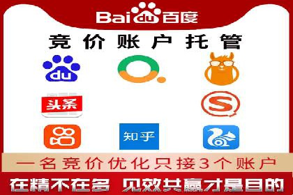 SEM搜索引擎优化：成功案例解析